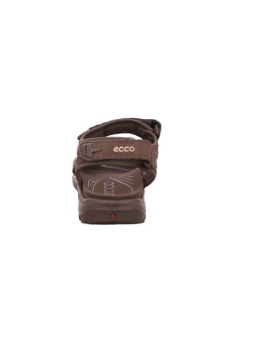 Ecco Outdoorsandalen Offroad in DARK CLAY