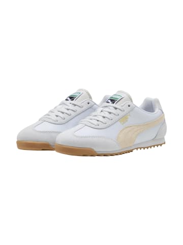 Puma Arizona Nylon-Sneaker aus Leder (Low-Top) Grau