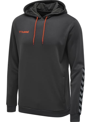 Hummel Hummel Hoodie Hmlauthentic Multisport Herren in ASPHALT