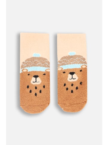 Coccodrillo Socken in bunt