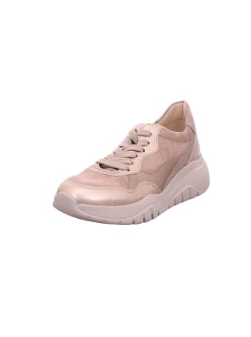 Gabor Sneaker in rose