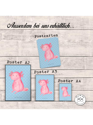 Mr. & Mrs. Panda Poster Axolotl Niedlich ohne Spruch in Blau Pastell