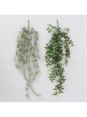 Boltze Pflanze in grün