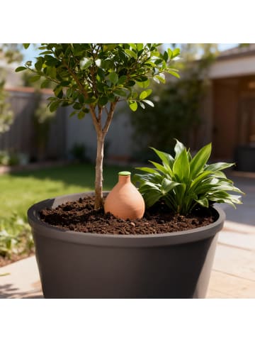 relaxdays Olla in Terrakotta - 3 l