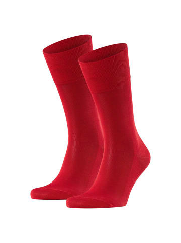 Falke Socken 2er Pack in Rot