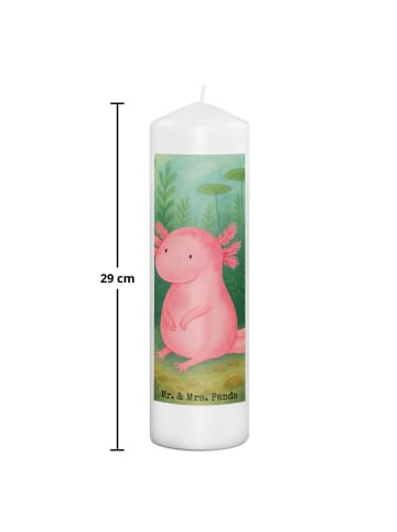 Mr. & Mrs. Panda Weihnachtskerze Axolotl Niedlich Design ohne Sp... in Weiß