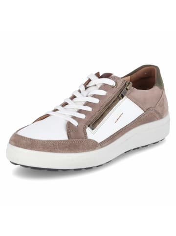 Josef Seibel Schnürhalbschuh in taupe