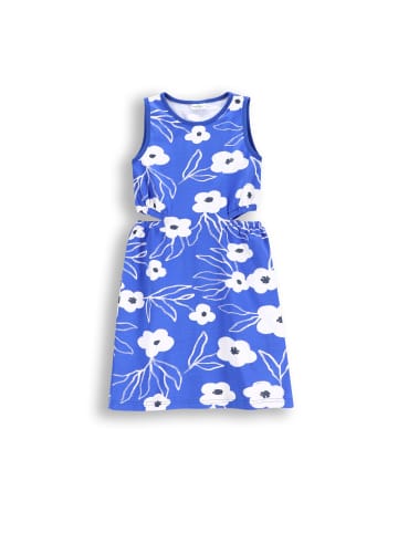 Coccodrillo Kleid in kobaltblau