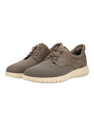 Geox Sneaker Taupe