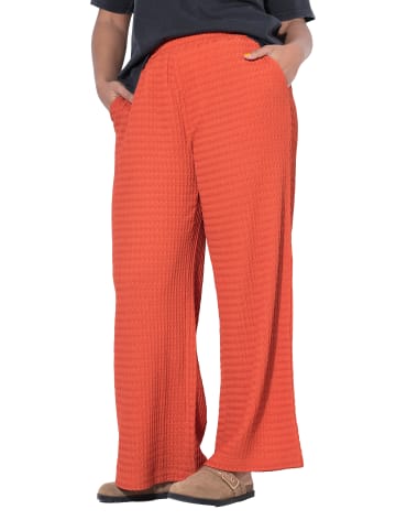 Studio Untold Schlupfhose in safran