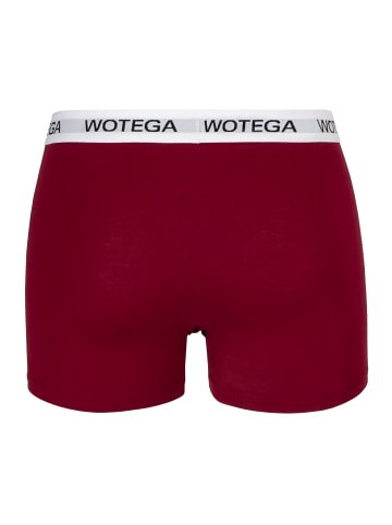WOTEGA 6er-Set: Boxershorts Joe in Bordo