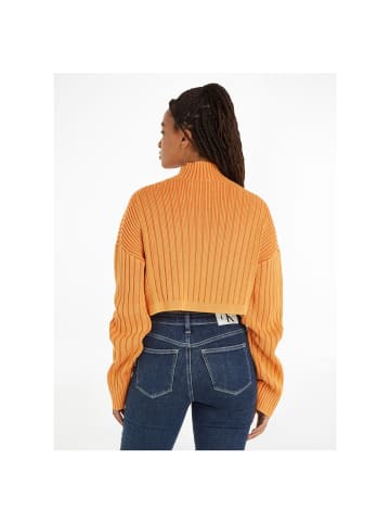 CALVIN KLEIN JEANS Sweatshirt in burnt clay