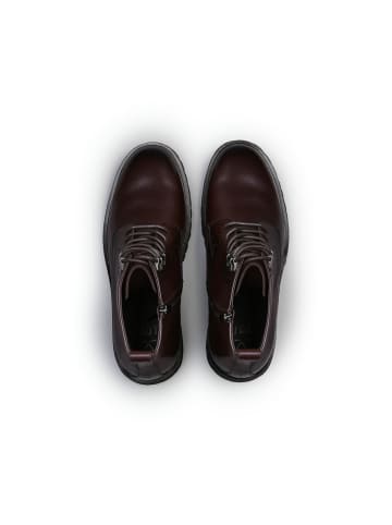 LLOYD Stiefeletten VENTON 329 in dk.brown
