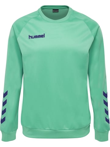 Hummel Hummel Sweatshirt Hmlpromo Multisport Kinder in ATLANTIS