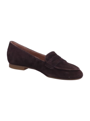 Paul Green Slipper in BRAUN