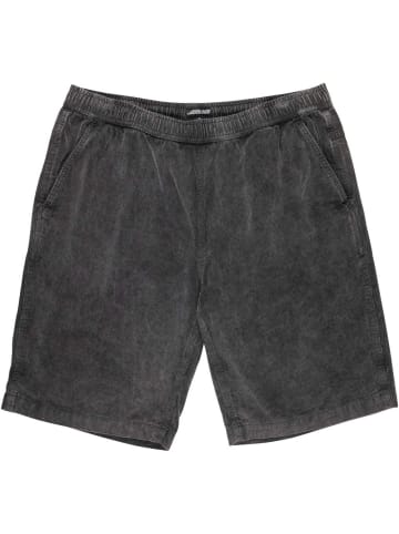 Santa Cruz Short "Chill Shorts" in Grau