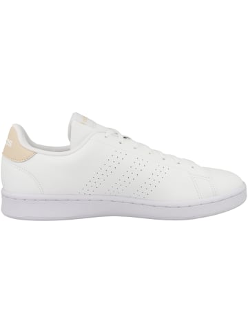 adidas Performance Sneaker low Advantage in weiss