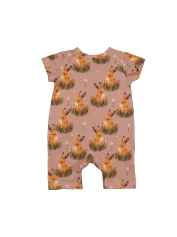 Walkiddy Strampler Pretty Bunnies - Baumwolle (Bio)