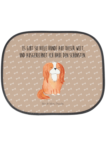 Mr. & Mrs. Panda Sonnenschutz Auto Hund Cavalier King Charles Sp... in Hundeglück