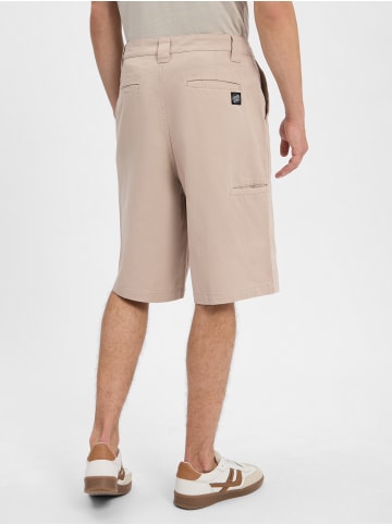 Santa Cruz Shorts Dillon in kitt