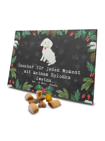 Mr. & Mrs. Panda Hunde Adventskalender Bolonka Zwetna Moment mit... in Kreidetafel