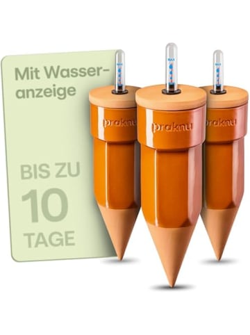 Praknu 3 x Tonkegel mit Deckel & Wasseranzeige – bis 10 Tage Bewässerung