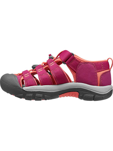 Keen NEWPORT H2 in Beere