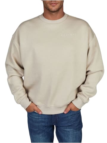 DENIMFY Pullover DFKeno in Beige