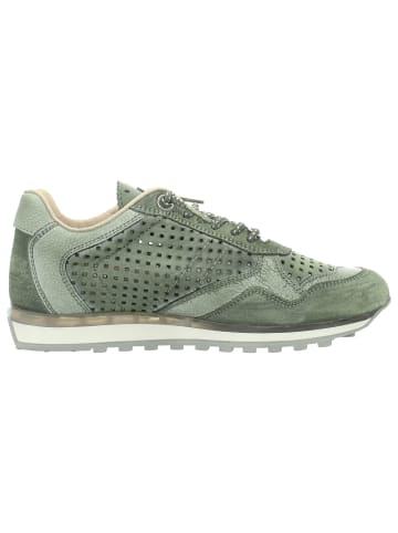 Cetti Sneaker in grün