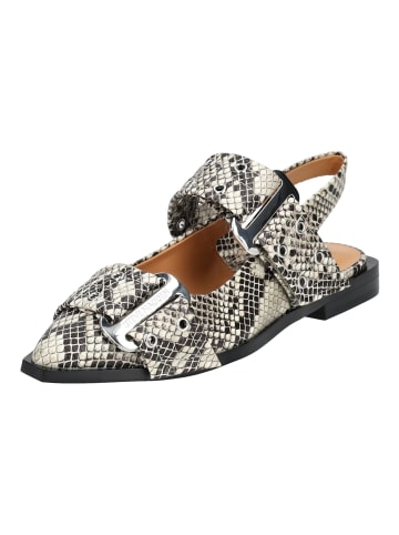 Steve Madden Ballerinas in Hellbeige