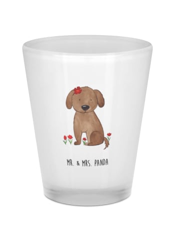 Mr. & Mrs. Panda Pinchen Hund Dame ohne Spruch in Transparent