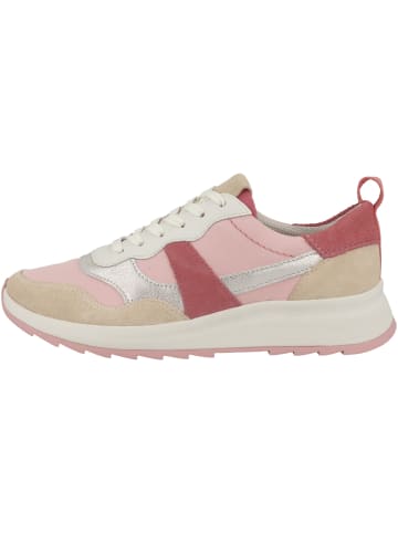 Clarks Sneaker low DashLite Jazz in multicolor