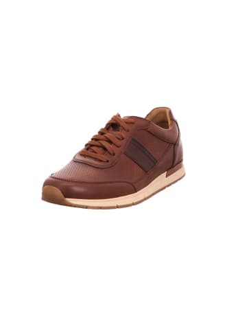 Pius Gabor Sneaker in braun