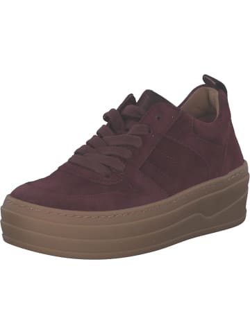 Gabor Fashion Schnürschuhe in mulberry