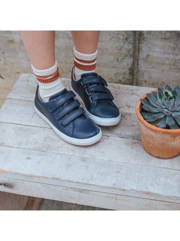 Lotta&Emil SNEAKER LOW blau