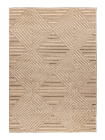 Teppich Boss Kurzflor Teppich Dalia 225 in Beige