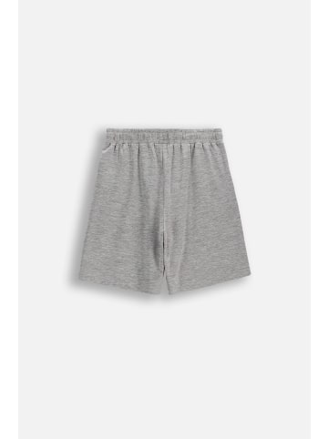 Lemon explore Kurze Hosen in grau