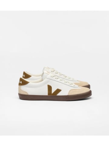 Fred Perry Volleyballschuhe Volleyballschuhe in Weiß