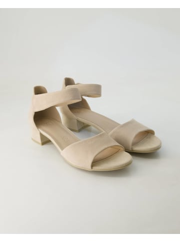 Terry Sandalen in Beige