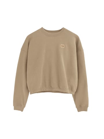 Polo Club Sweatshirt in Braun