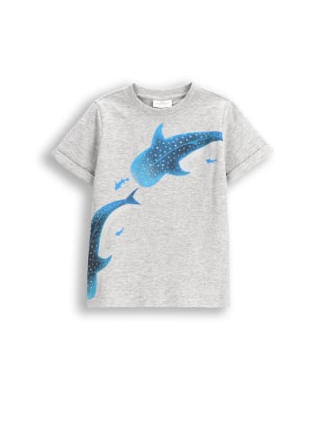 Coccodrillo T-Shirt mit kurzen Ärmeln in grau