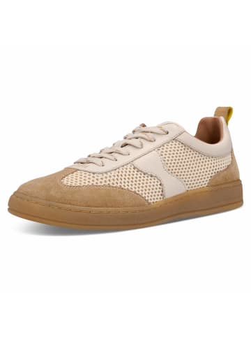 SALAMANDER Sneaker in beige