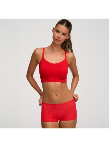 CFAB Hipster-Hose | 3er-Pack in Feuerrot