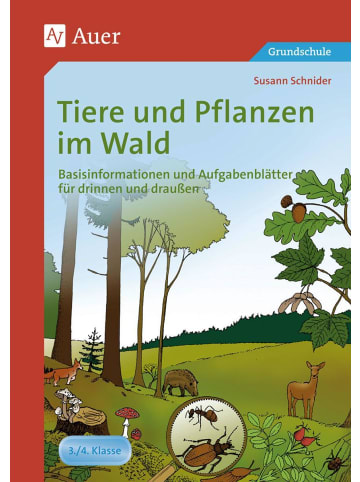 Auer Verlag Tiere und Pflanzen im Wald | Basisinformationen und Aufgabenblätter für...