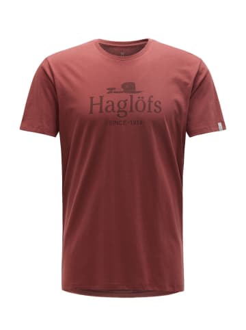 Haglöfs Funktionsshirt Camp Tee in Storm blue/tarn blue