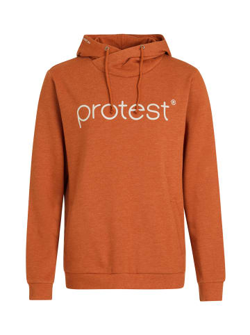 Protest " CLASSIC LOGO HOODY in Squirrelbrown