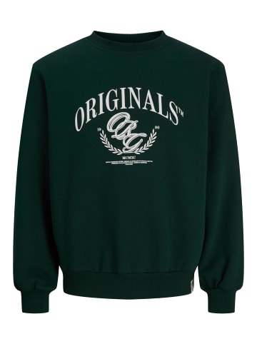 Jack & Jones Sweatshirt in Pine Grove