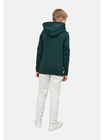 JACK & JONES Junior Hoodie 'Lakewood' in grün