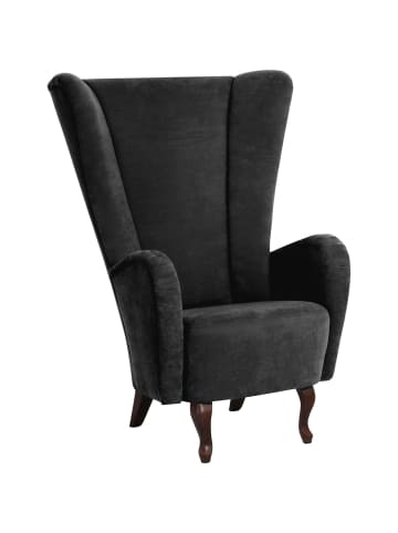 others HOCHLEHNSESSEL Kailey Bezug Velourstoff Buche nussbaum dunkel / schwarz