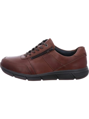 Solidus Sneaker Low in braun